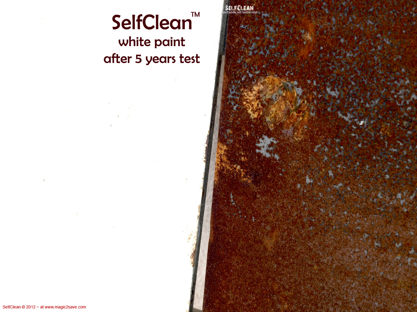 SelfClean-test_56